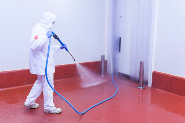 Best Rust Removal  in Sheldon, TX